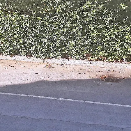 Διαμέρισμα Patio Fleuri *