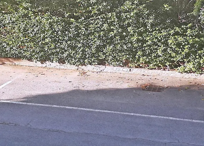 Διαμέρισμα Patio Fleuri *